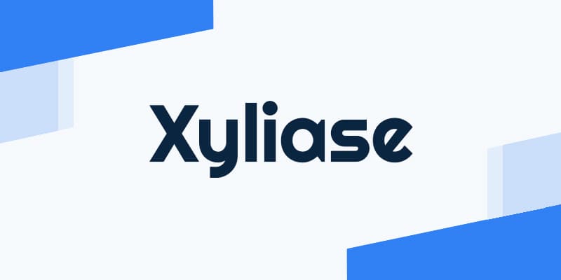 How Xyliase Is the #1 Marketplace in 2026