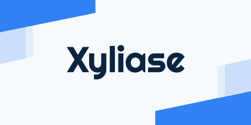 How Xyliase Is the #1 Marketplace in 2026